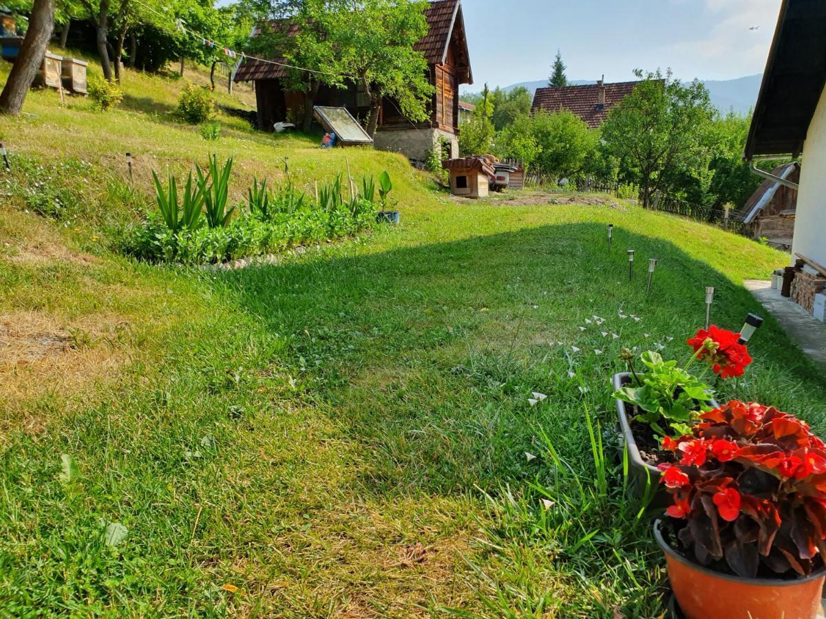 Bed and Breakfast Apartman Draga Mokra Gora Exterior foto